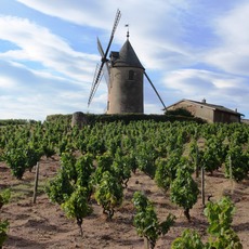 Beaujolais
