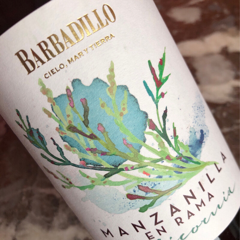 Barbadillo, Manzanilla - Sanlucar de B, Salicornia NM
