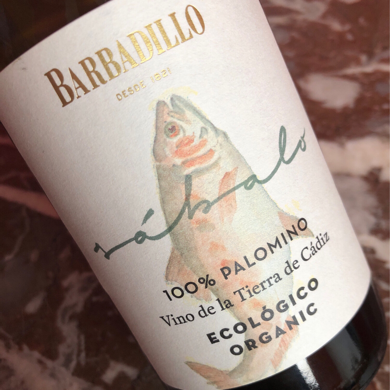 Barbadillo, Tierra de Cadiz, Sabalo 2021