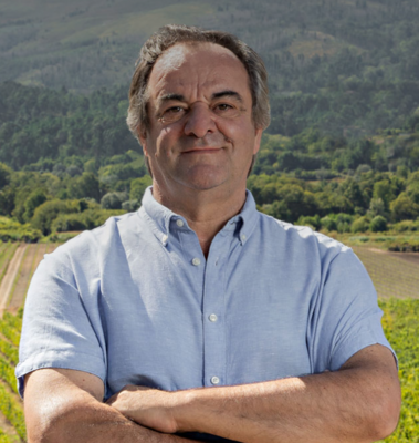 Anselmo Mendes