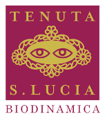 Santa Lucia