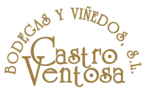 Castro Ventosa