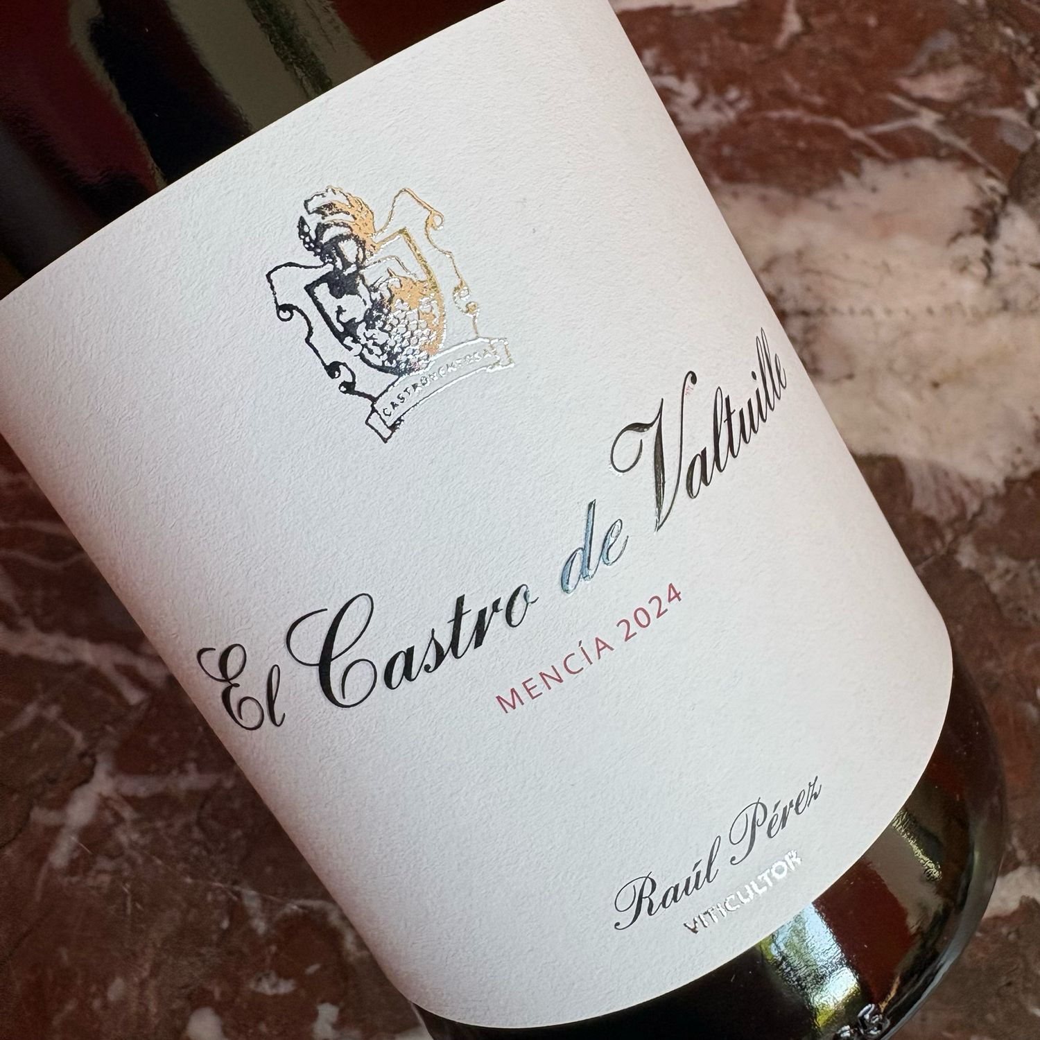 Castro Ventosa (Raul Perez), Bierzo, El Castro de Valtuille 2024