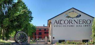 Accornero