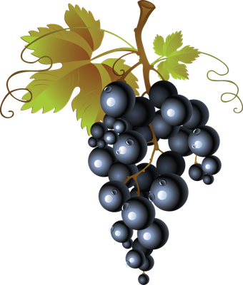 tintilla