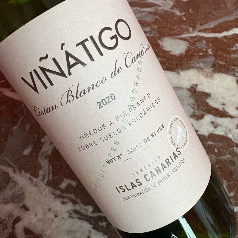 Viñatigo, Tenerife, Listan Blanco 2020