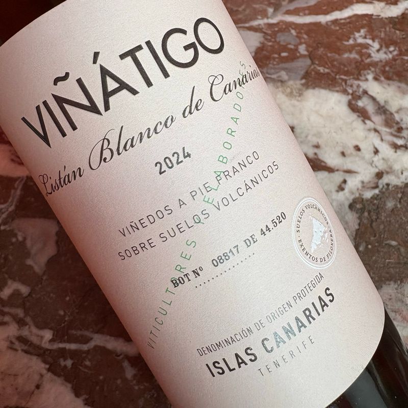 Viñatigo, Tenerife, Listan Blanco 2024