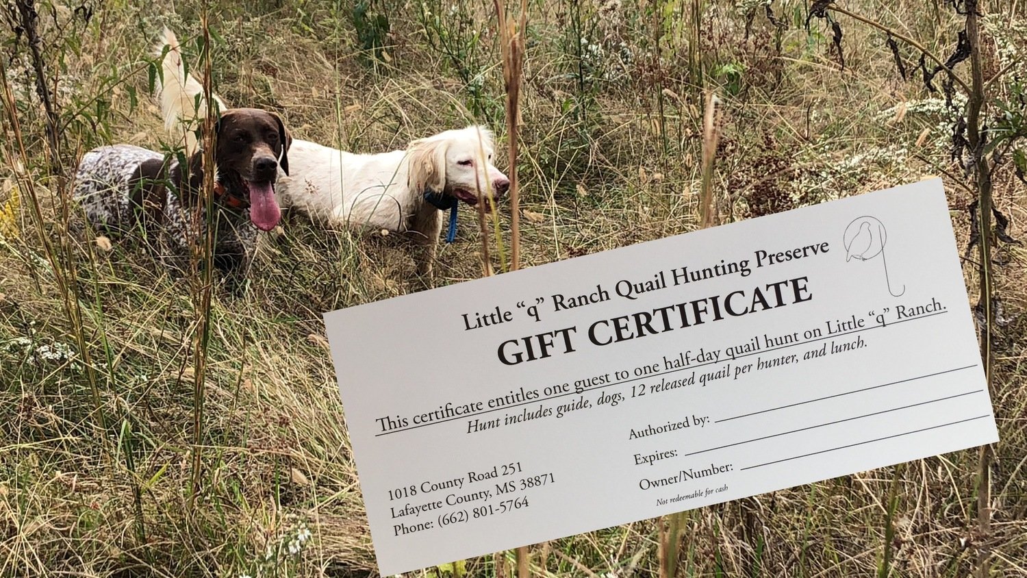 Half-day Quail Hunt Gift Certificate