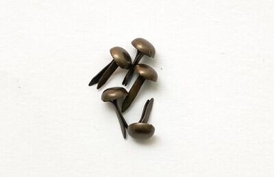 Tachas 4,5mm | Bronze