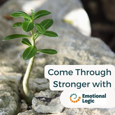 Online 'Come Through Stronger with Emotional Logic'