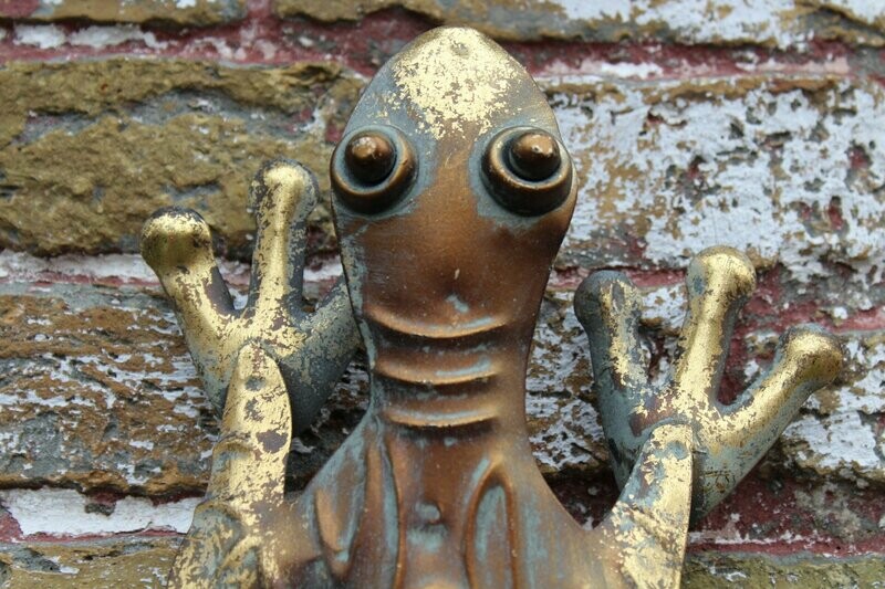 Wandornament salamander met vlinders