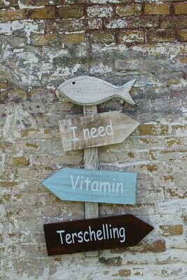 I need vitamin Terschelling