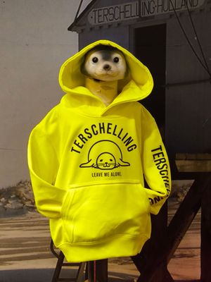 Terschelling zeehond KIDS trui / FLUOR GEEL