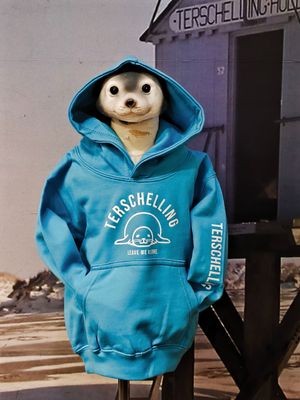 Terschelling zeehond BABY trui / AQUA BLAUW