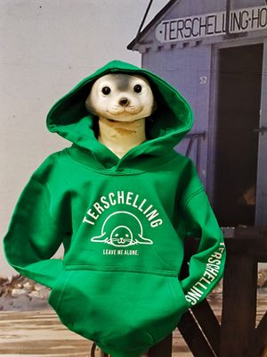 Terschelling zeehond BABY trui / GROEN