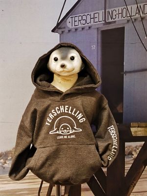 Terschelling zeehond BABY trui / GRIJS