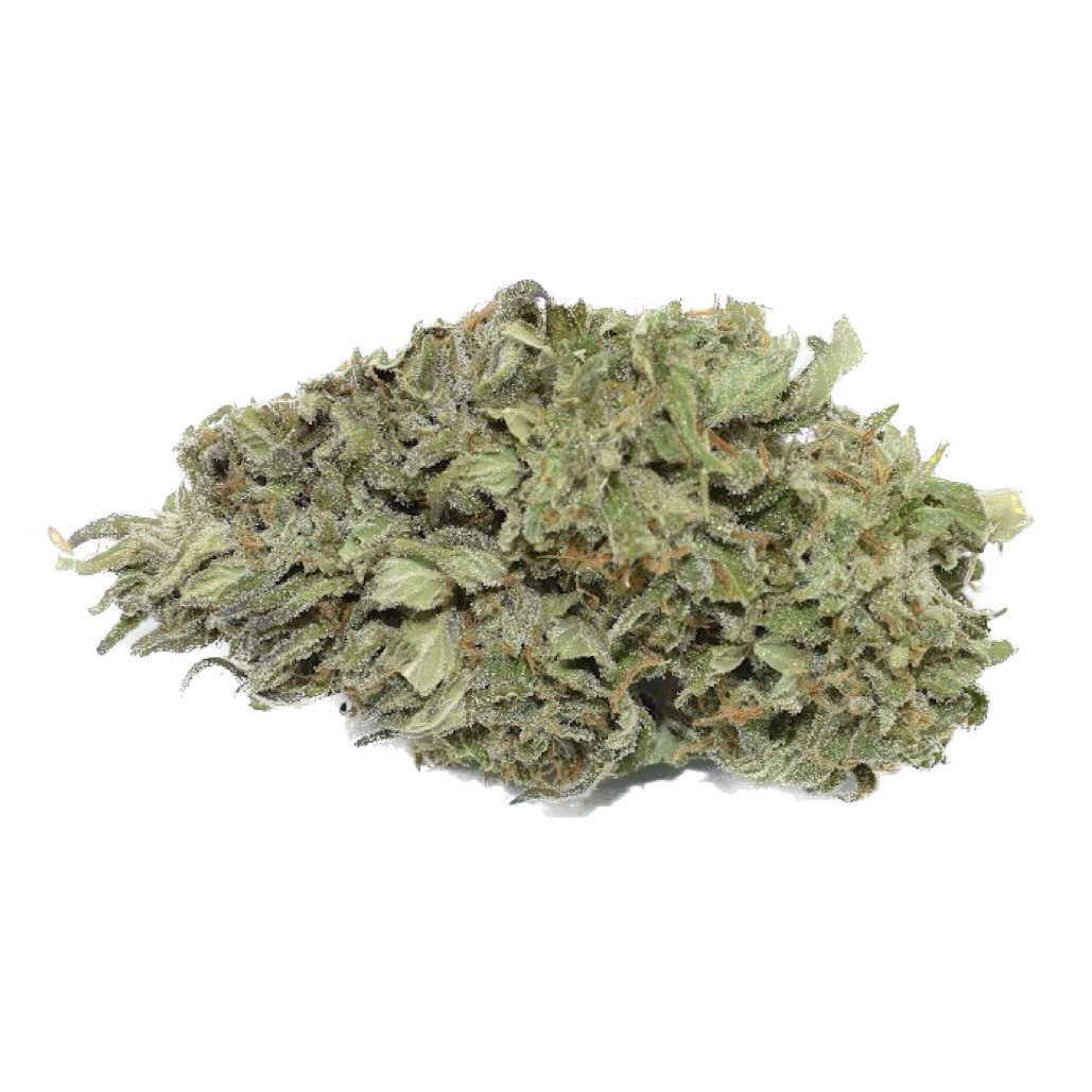 Sungrown Living Soil Organic Texada Timewarp