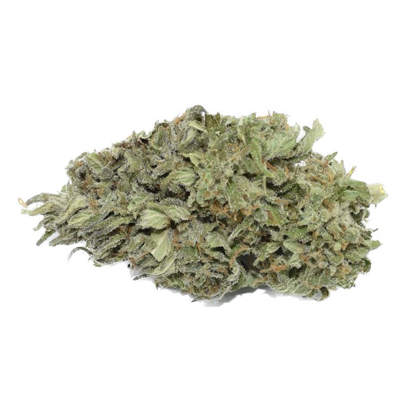 Sungrown Living Soil Organic Texada Timewarp
