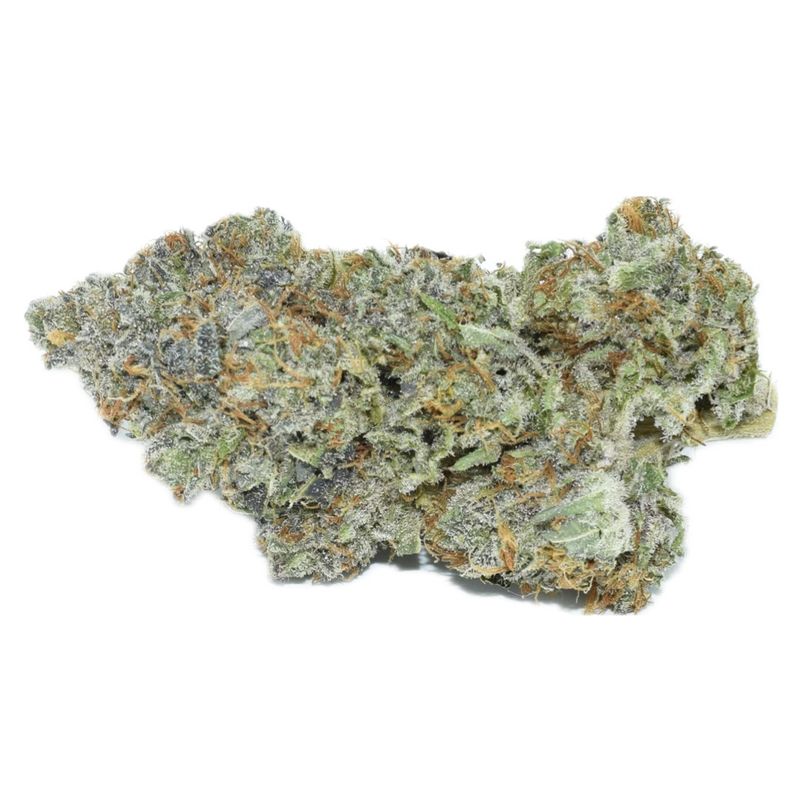 Blueberry Muffin AAAA Flower