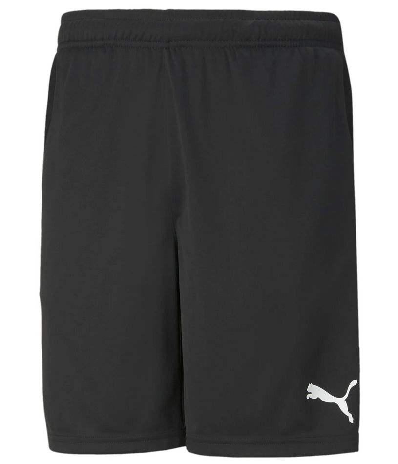 Puma teamRISE Shorts