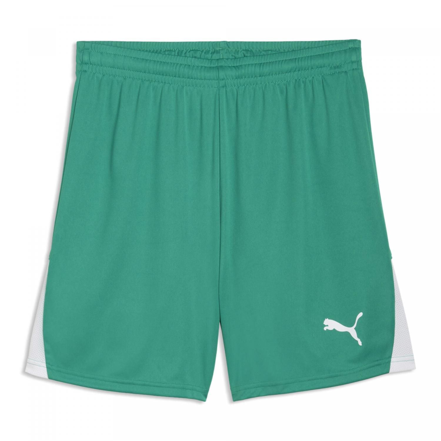 Puma teamLIGA26 Shorts