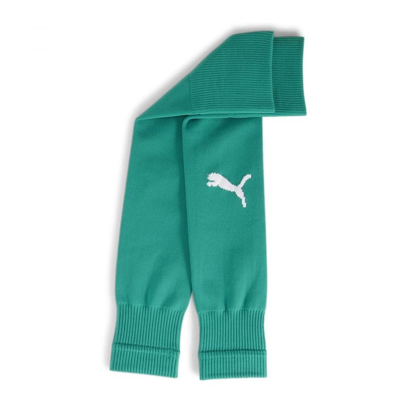 Puma teamGOAL Sleeves