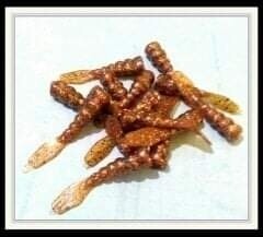 Fuddle Bugs