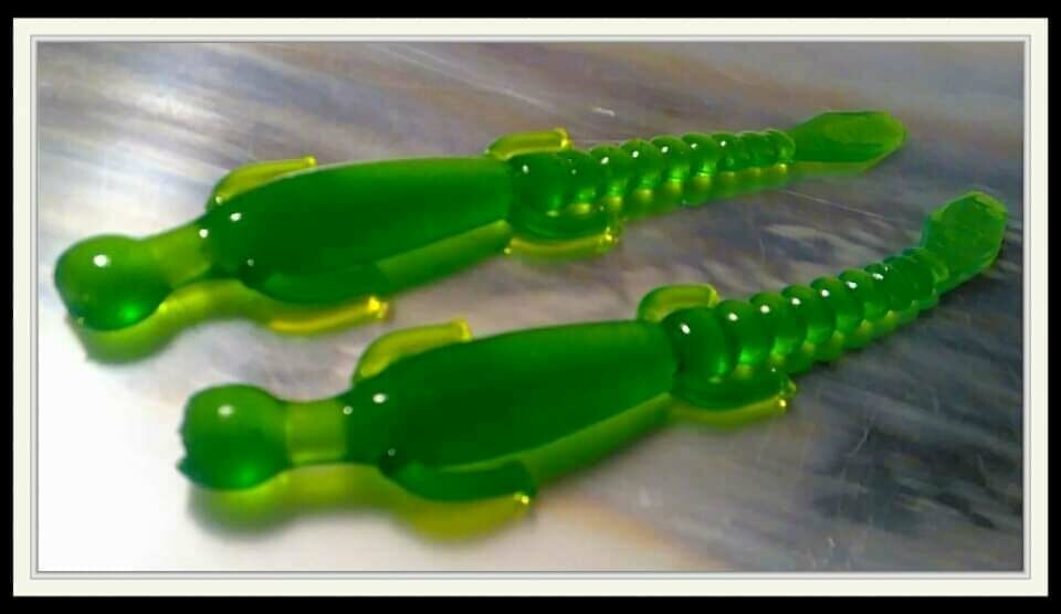 6&quot; lizards
