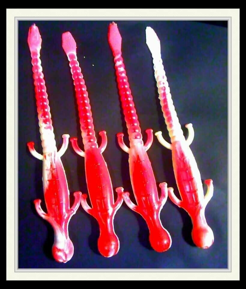 6&quot; lizards