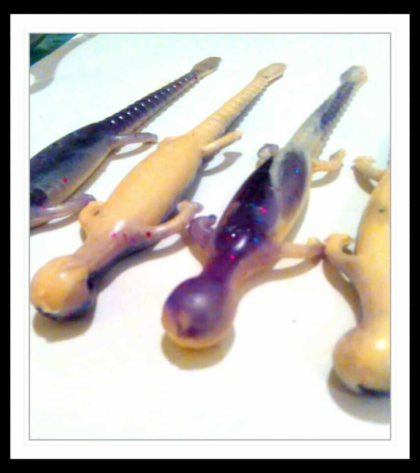 6&quot; lizards