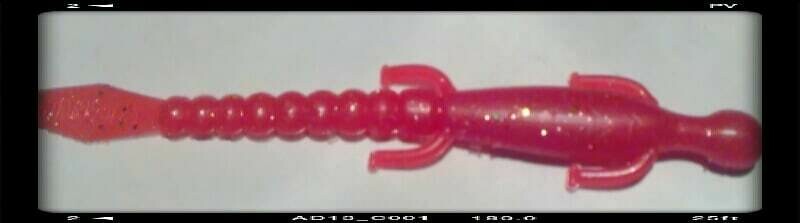6&quot; lizards
