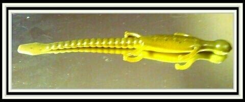6&quot; lizards