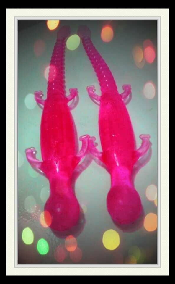 6&quot; lizards