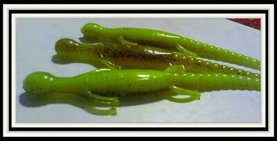 6&quot; lizards