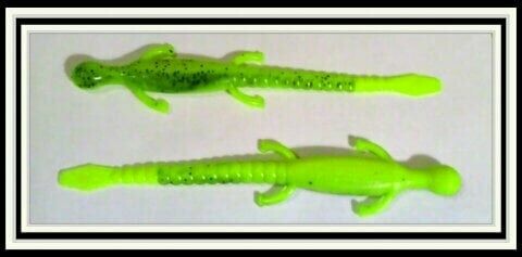 6&quot; lizards