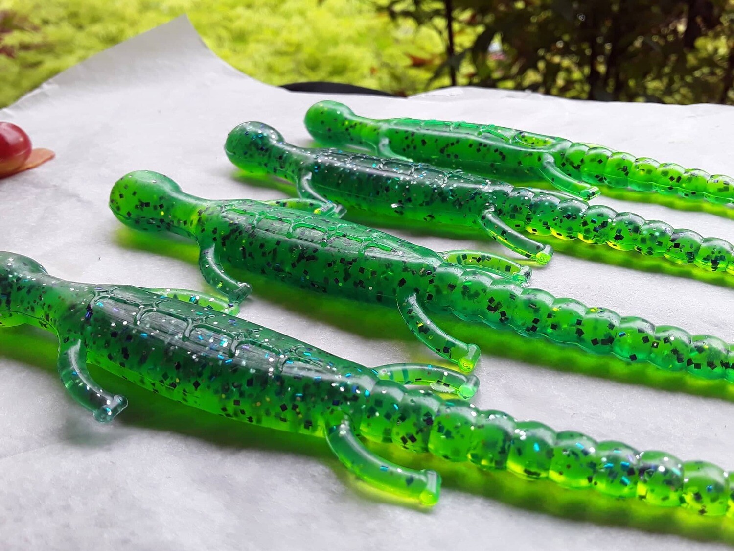 6&quot; lizards
