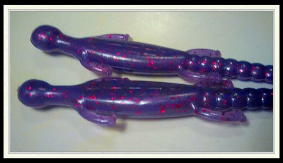 6&quot; lizards