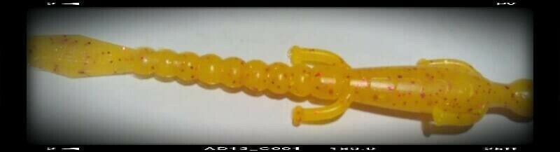 6&quot; lizards