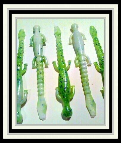 6&quot; lizards