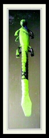 6&quot; lizards