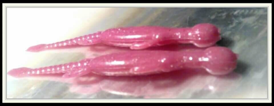 6&quot; lizards