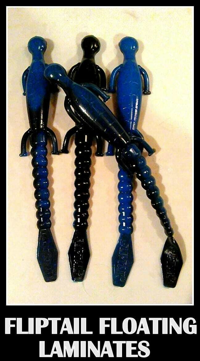 6&quot; lizards