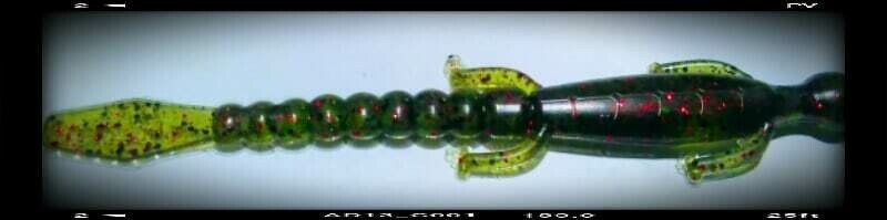 6&quot; lizards