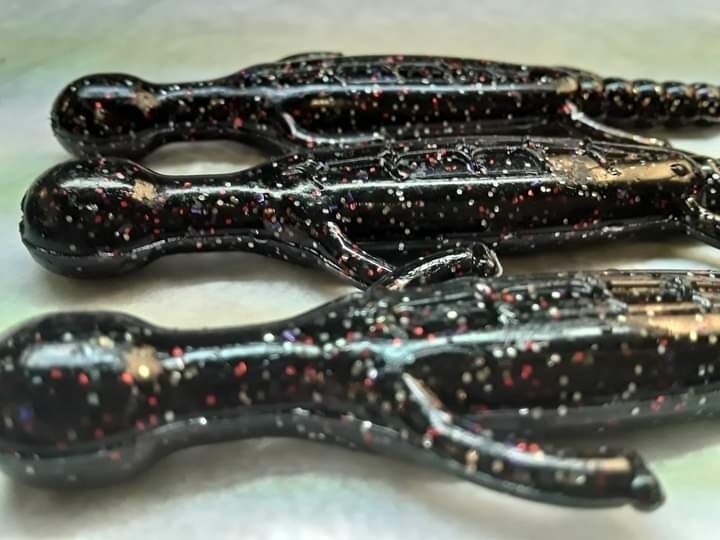 6&quot; lizards