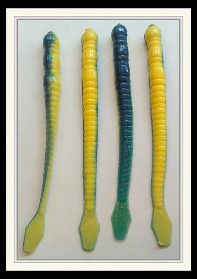 5 3/4&#39;&#39; Worm