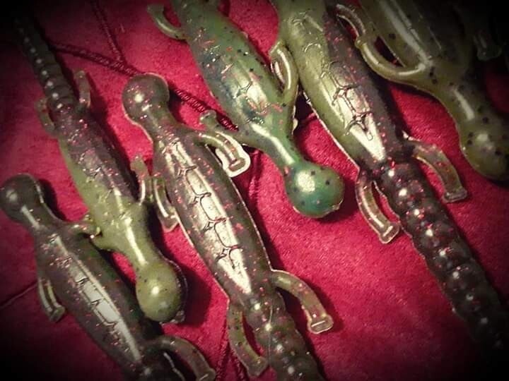 6&quot; lizards