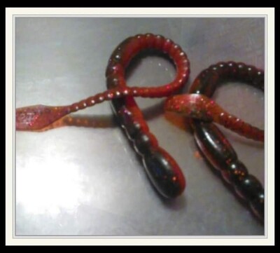 9 1/4&#39;&#39; worm