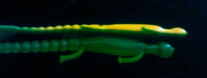 6&quot; lizards