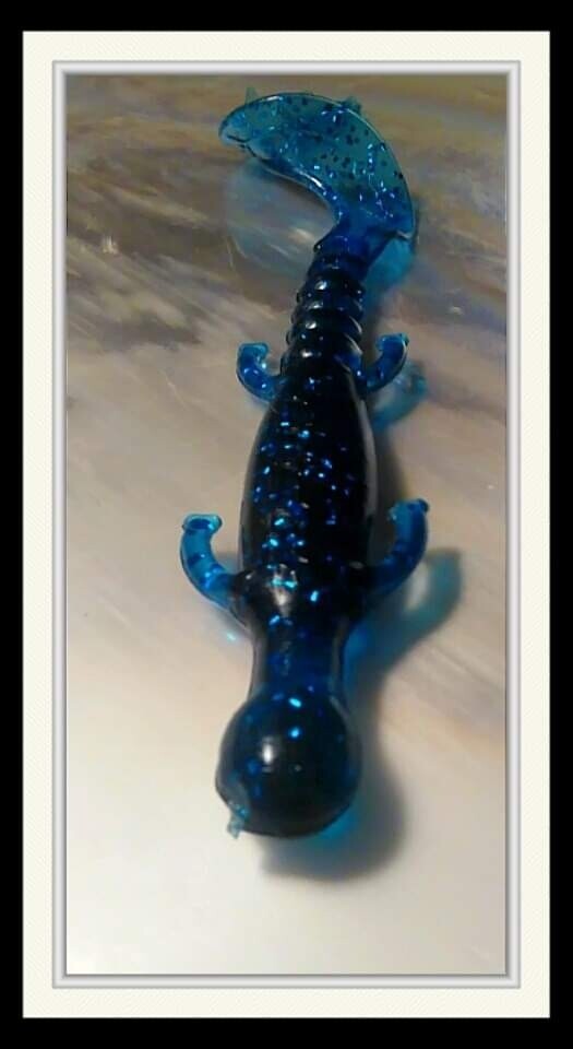 6&quot; lizards