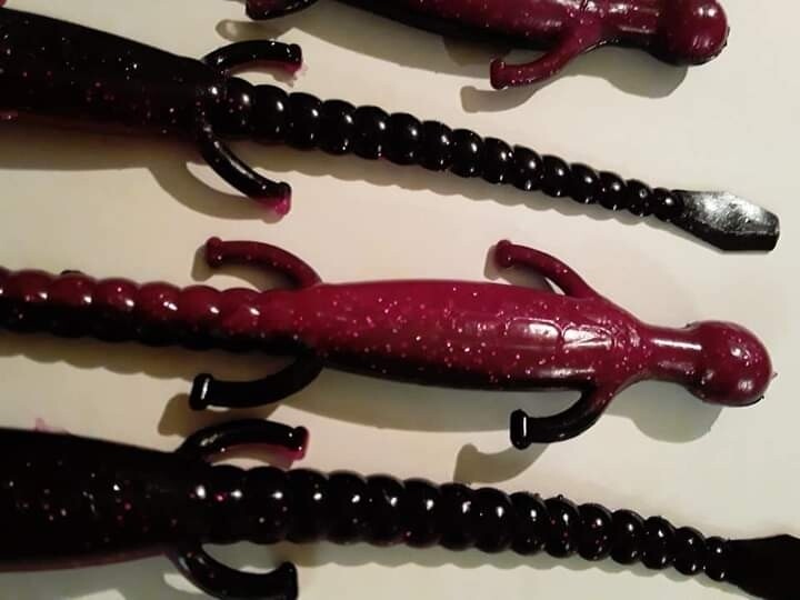 6&quot; lizards